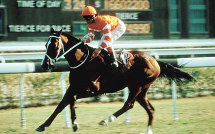 ���������ܳ�������ͬ�¡�