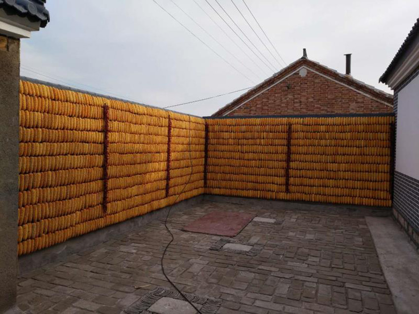 ������塤��������壺С����ջ����գ�ֻΪ��ס��14��