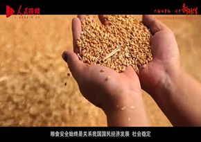 中儲糧集團公司中儲糧儲運有限公司：盤錦儲運公司形象片