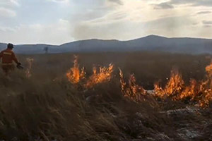 大興安嶺森林消防：點燒“防火帶” 預防森林火災