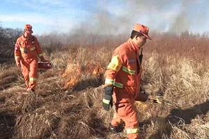 黑龍江大興安嶺地區森林消防計劃燒除 緩解防火壓力