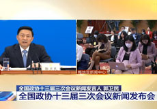 郭衛民：中國願同國際社會共同努力早日戰勝疫情