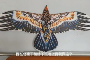 農村小伙設計發明3D打印機 制作無風飛行的盤鷹