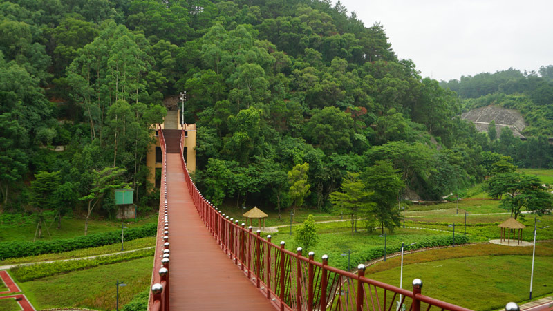 ����ţ��������㣩