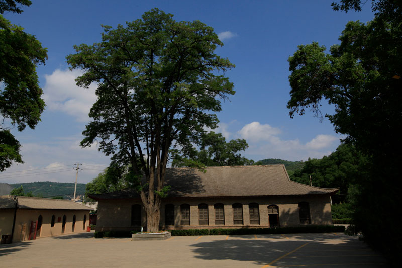 ��ί����