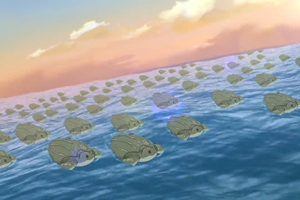 酷杰的科學之旅-海洋探秘 第六集：海龜下蛋