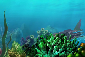 酷杰的科學之旅-海洋探秘 第二集：美麗的珊瑚礁