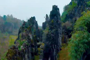 思南石林：怪石嶙峋！這是貴州省最大的天然石林