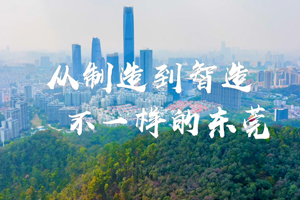  Travel around the Greater Bay Area | Dongguan, a different city from manufacturing to intelligent manufacturing