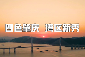  Visit the Greater Bay Area | Four color Zhaoqing Bay Area Rookie