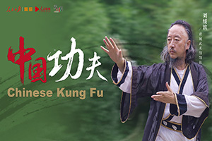  Chinese Kung Fu | Wushu is an important medium for cultural exchanges between China and foreign countries