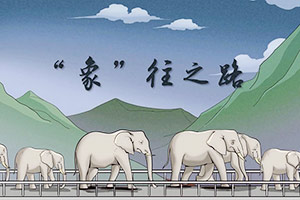 大國故事丨“象”往之路