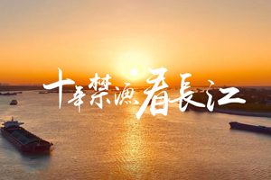  Micro video: Ten year ban on fishing and watching the Yangtze River