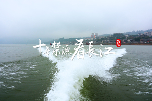  Digital empowerment of fishing in the Yangtze River