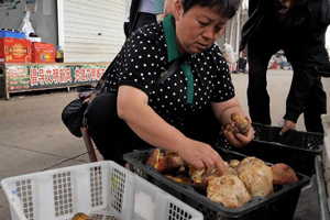 一起去逛逛野生菌市場