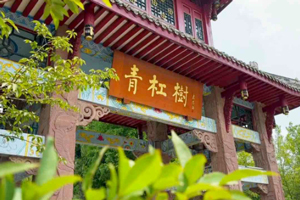 魅力中国丨青杠树篇