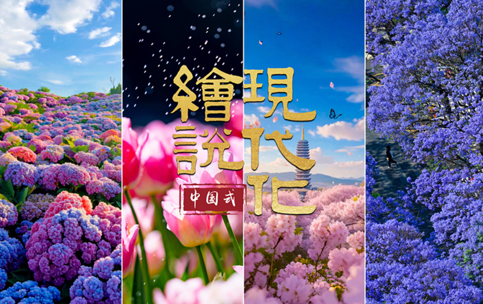 繪說現代化︱你的浪漫，七成來自雲南