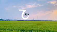 捕捉农场版“野生汉字”