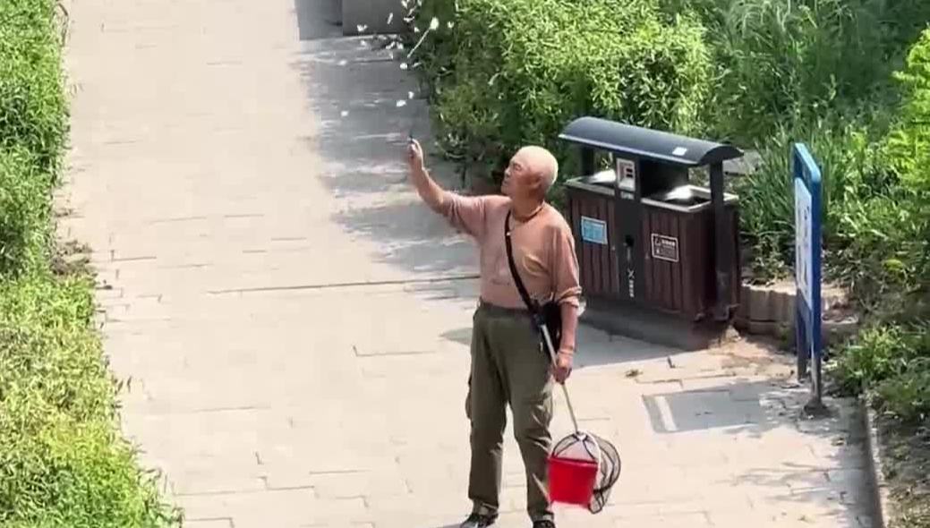 这是谁的童年回忆？大爷在公园遛蝴蝶 松弛感满满