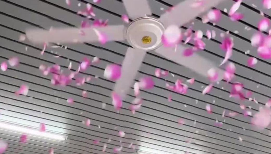 浪漫又有创意！这场“花瓣雨”藏着青春记忆