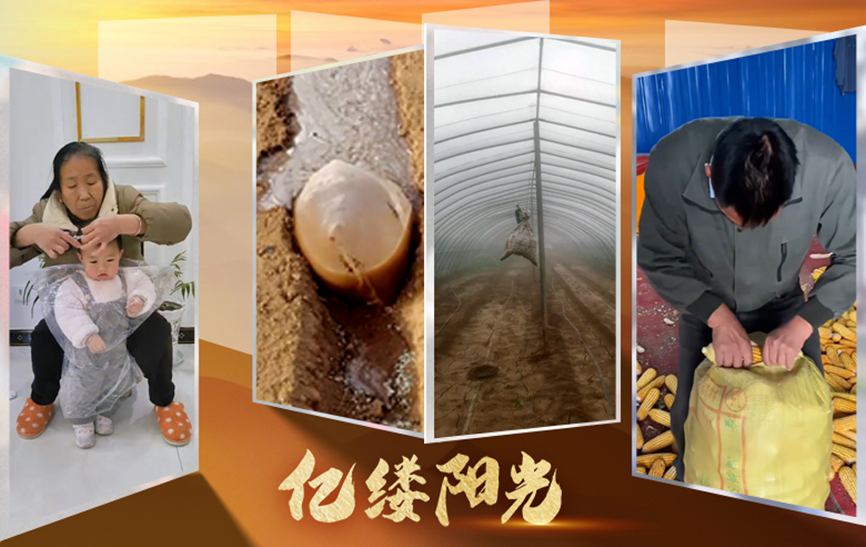 億縷陽光︱高手在民間