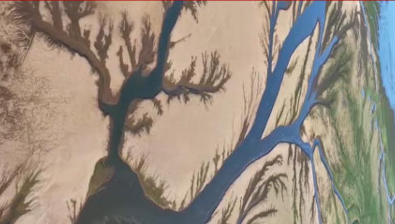 太震撼！鄱阳湖现“大地之树”景观