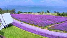 滇池绿道串起生态美景
