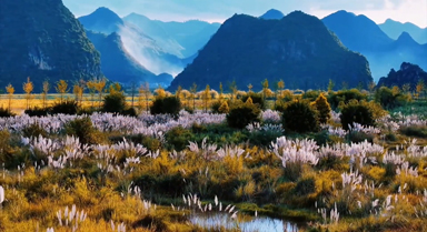 蘆花與遠山夕陽交織 氛圍感拉滿