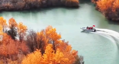 新疆胡楊林好像童話場景
