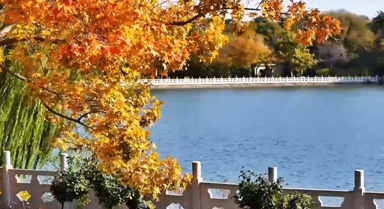 大运河15秒｜冬日“调色板”