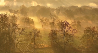 安徽休宁：水墨溪洲入画来