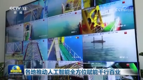 [视频]各地推动人工智能全方位赋能千行百业