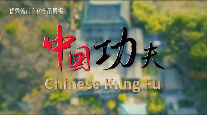                           100                                      中国功夫系列                                                                          创作单位                                            人民视听科技有限公司                                                                    作品类型                                            视频                                    