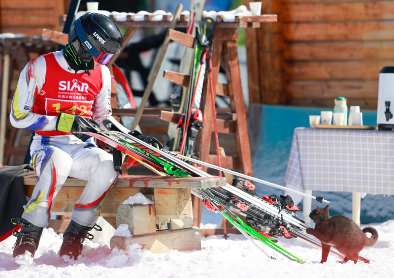 “韵”动中国【3】