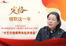 定格·履职这一年｜田静委员：“手艺价值要带来经济效益”