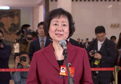 委员通道丨赵梅：让全世界更多人感受中国汉字的美