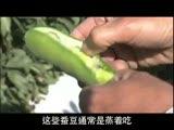 �m�饻���ȡn�G���J