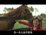 �m�饻���ȡn�G�鰪