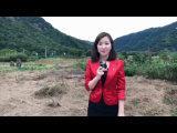 人民網福建頻道記者正在赤溪村關注十九大開幕