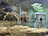 國家日歷：我國第一座恐龍博物館開放