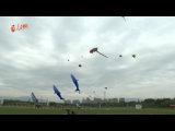 2020年第八屆北京國際風箏節國際風箏線上邀請賽暨首屆中國風箏錦標賽