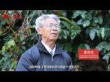 【人民映像】廖秀桂：30年專注咖啡栽培 讓荒山變寶地