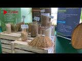 泰国积极发展大米产业