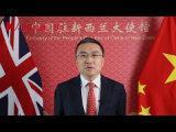 中國駐新西蘭大使王小龍通過人民網向全國人民拜年