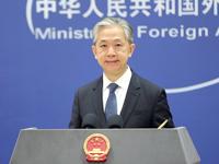 汪文斌：美國想給中國送頂“發達國家”帽子，對不起，戴不了
