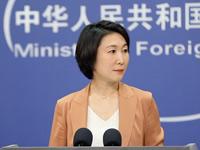 外交部：第七輪中德政府磋商高效務實 取得豐碩成果
