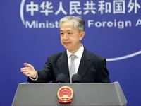 外交部：中國新能源汽車“駛”向全球 中國經濟向“綠”而行
