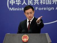  Dominica's Prime Minister Will Visit China's Foreign Ministry: It Will Push China Togo Relations to a New Level