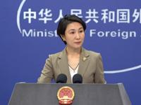  Ministry of Foreign Affairs: Investing in China is investing in the future