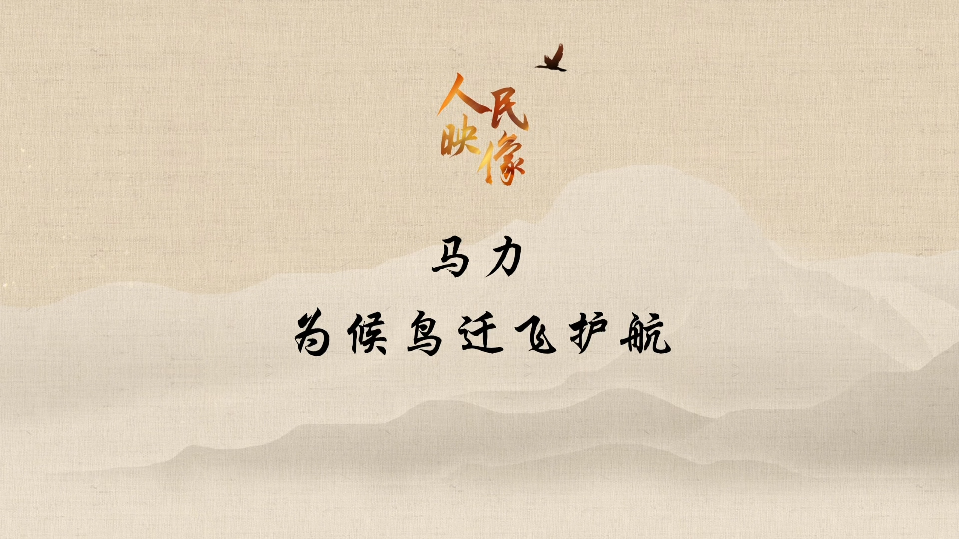 【人民映像】马力：为候鸟迁飞护航